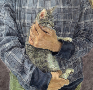 drawing of a person in blue plaid jacket zoomed into chest with hands holding a gray kitten