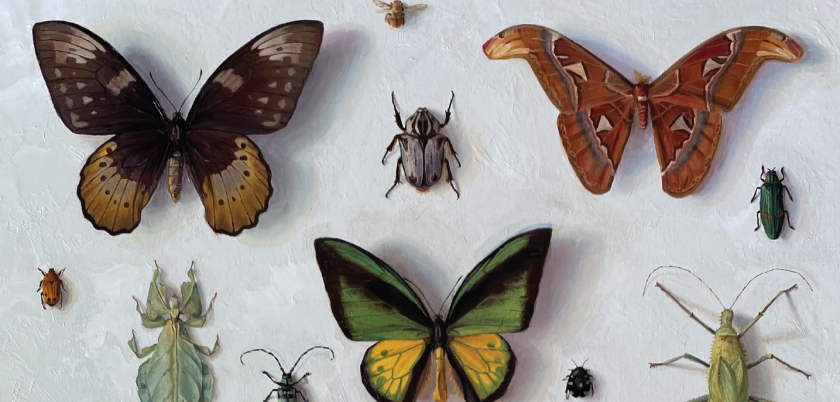 101st Annual Spring Salon |April 26, 2025 - July 5, 2025