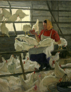 Alimentando a las gallinas  1965
